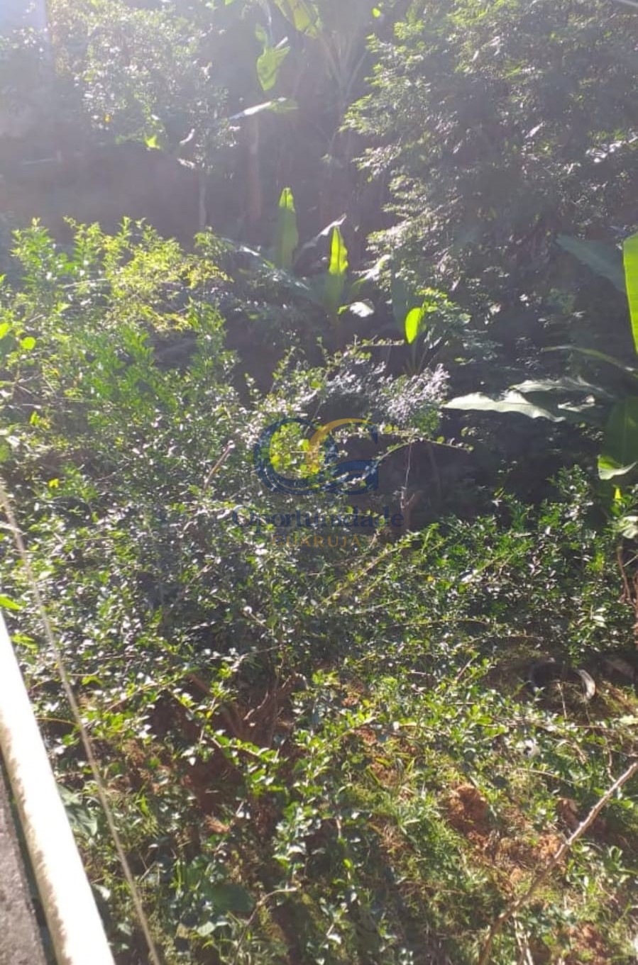 Casa em Condomínio na Praia da Enseada, Guarujá - SP